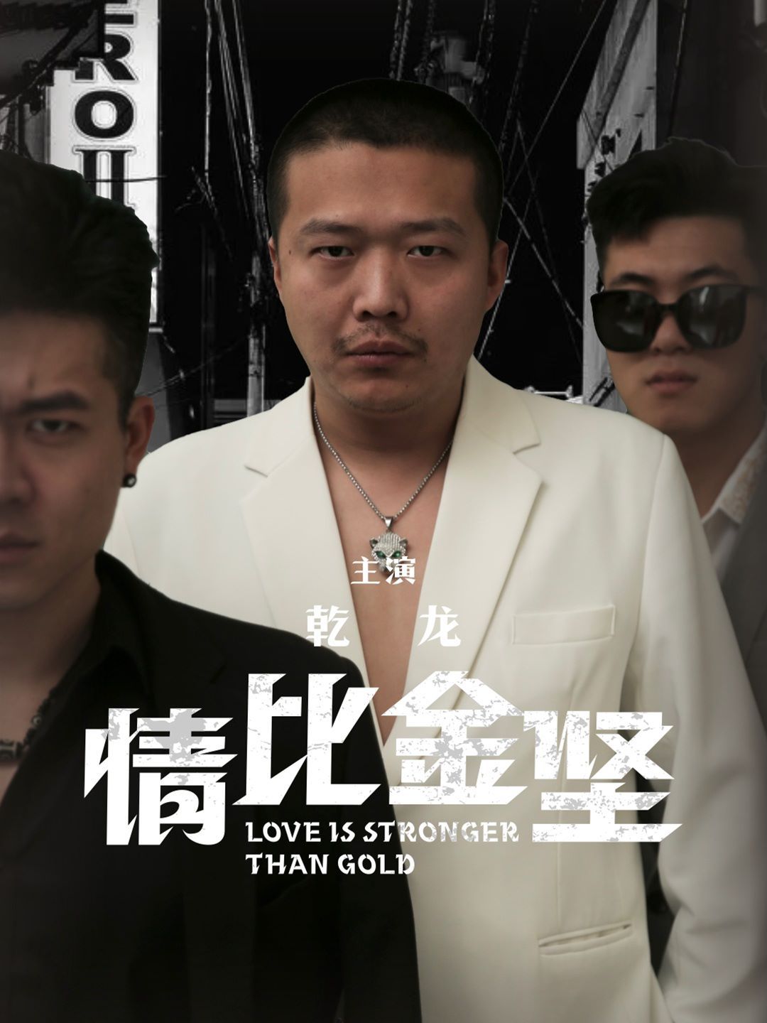 情比金坚封面