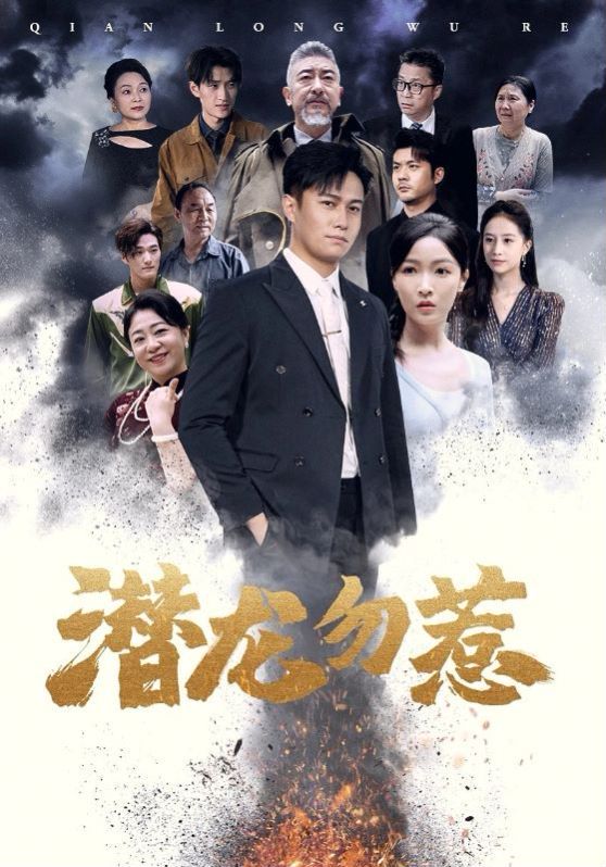 潜龙勿惹封面