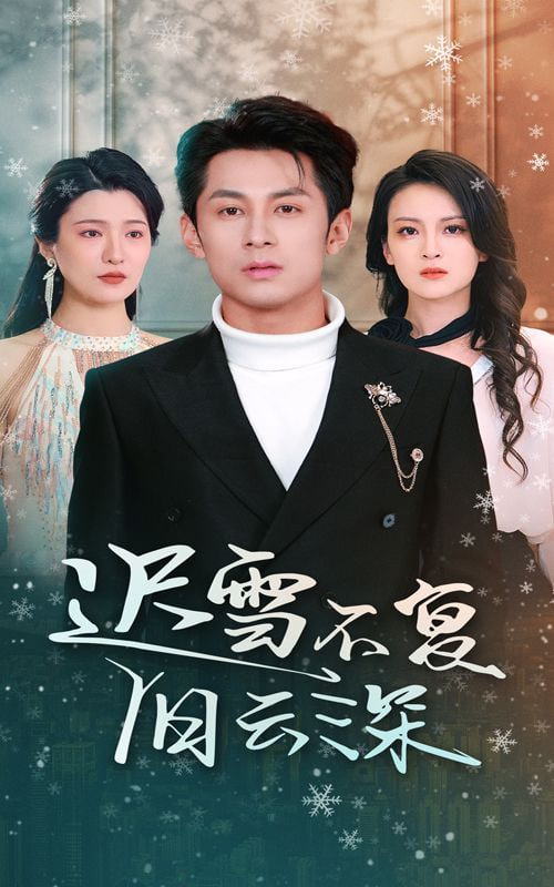 迟雪不复旧云深封面