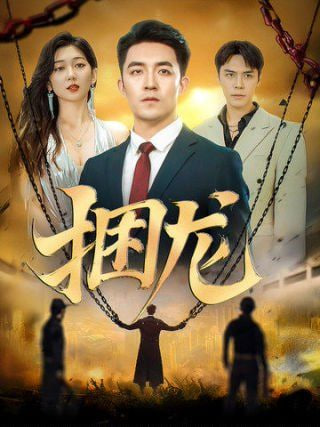 捆龙封面