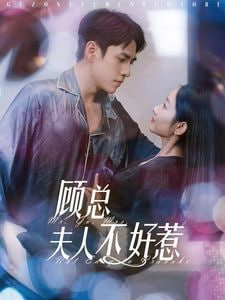 顾总夫人不好惹封面