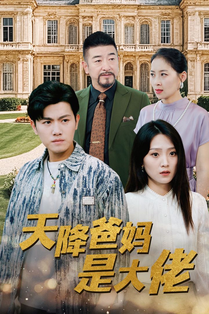 天降爸妈是大佬封面
