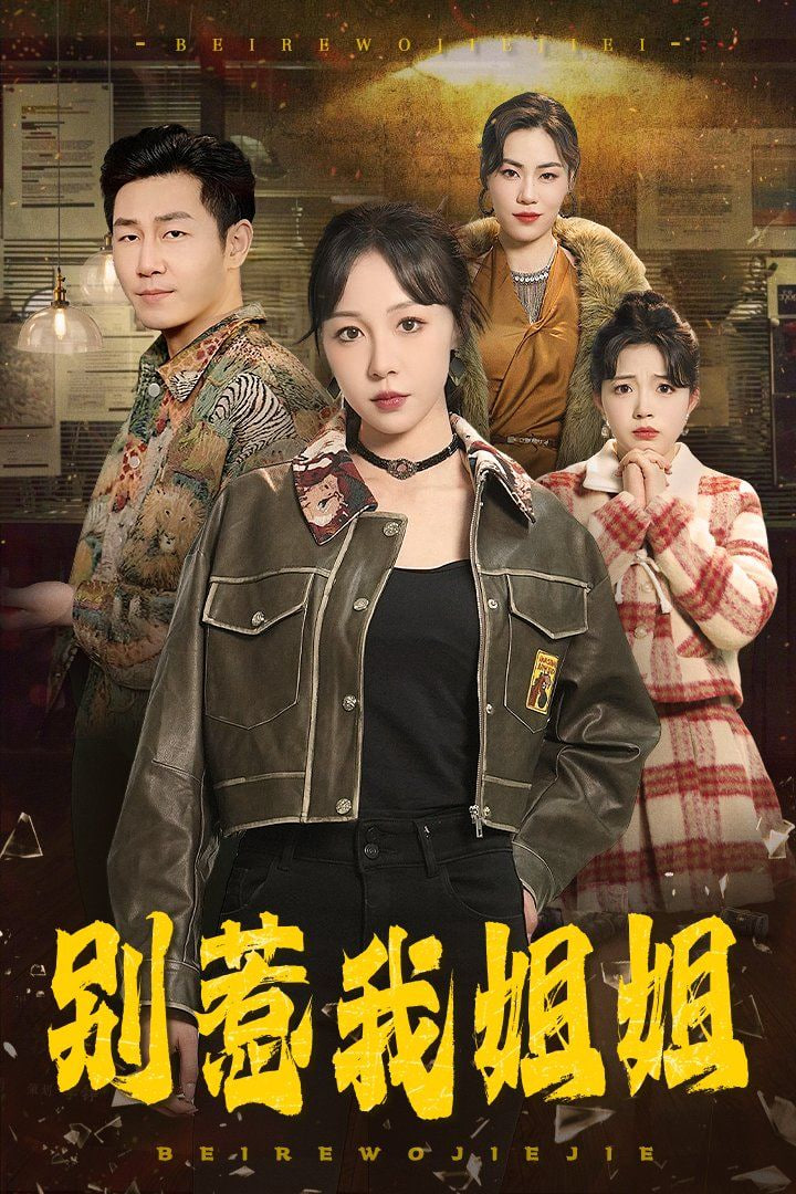 别惹我姐姐封面