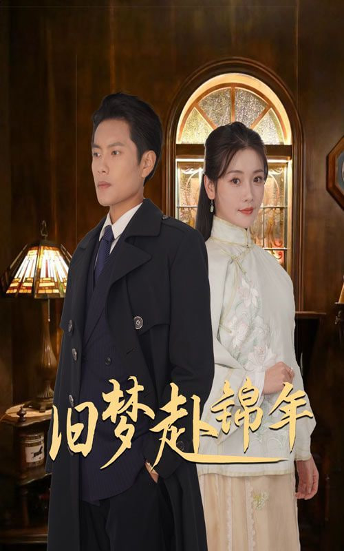 旧梦赴锦年封面