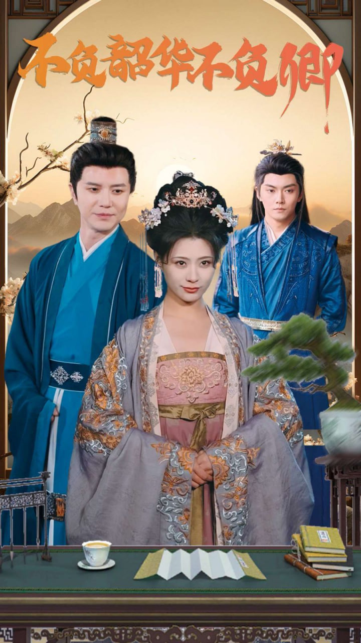 不负韶华不负卿封面