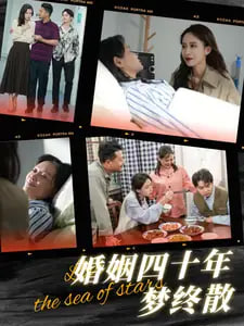 婚姻四十年梦终散封面