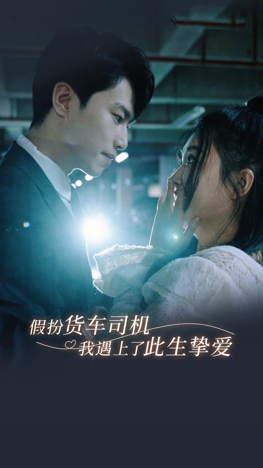 假扮货车司机我遇上了此生挚爱封面