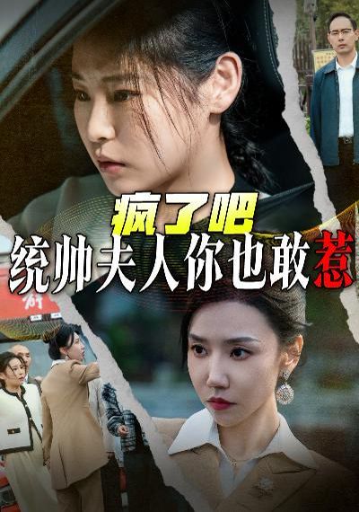疯了吧统帅夫人你也敢惹封面