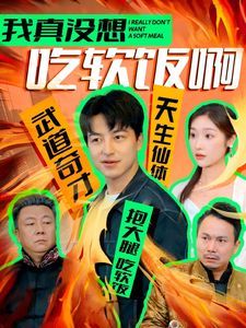 我真没想吃软饭啊封面
