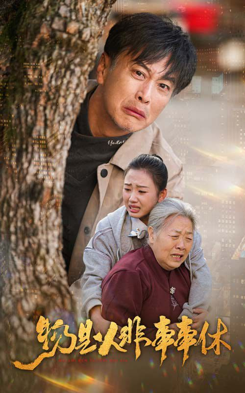 物是人非事事休封面