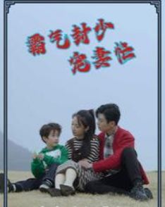 霸气封少宠妻忙封面