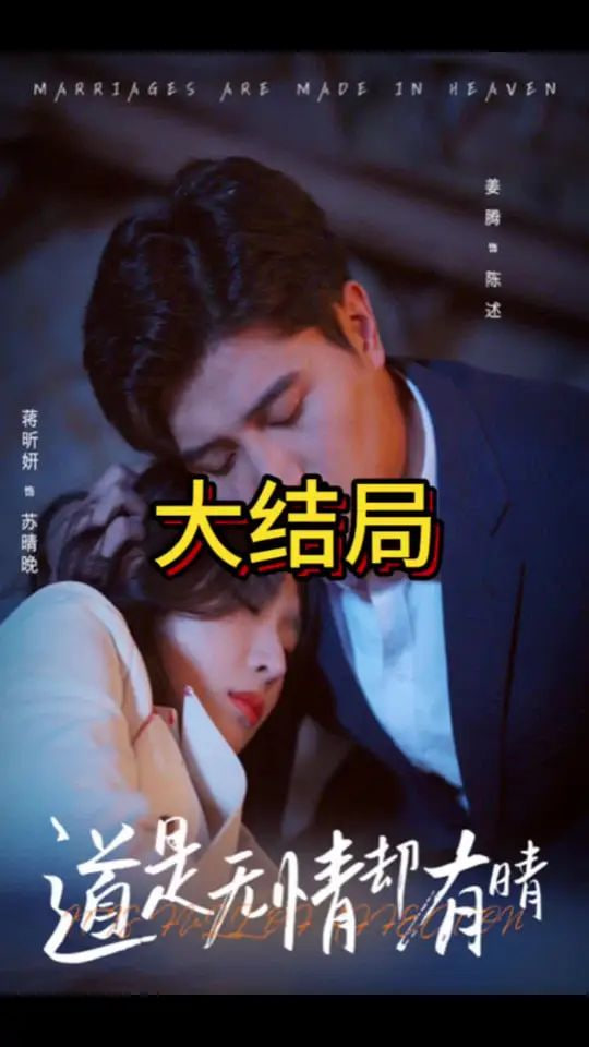 道是无情却有晴封面