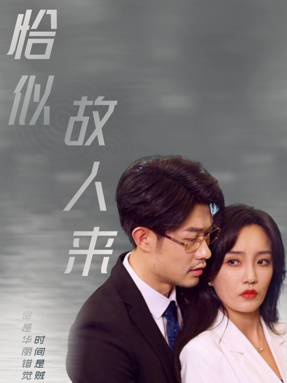 恰似故人来封面