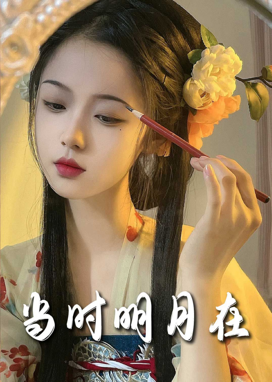 明月照南星（当时明月在）封面