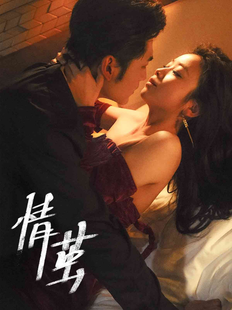 情茧封面