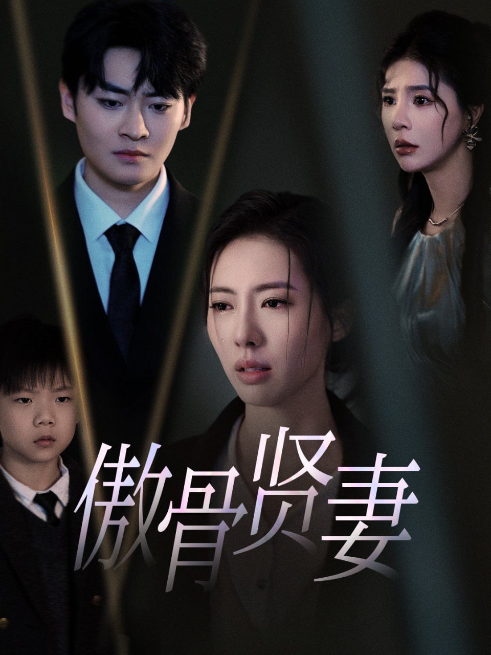 傲骨贤妻封面