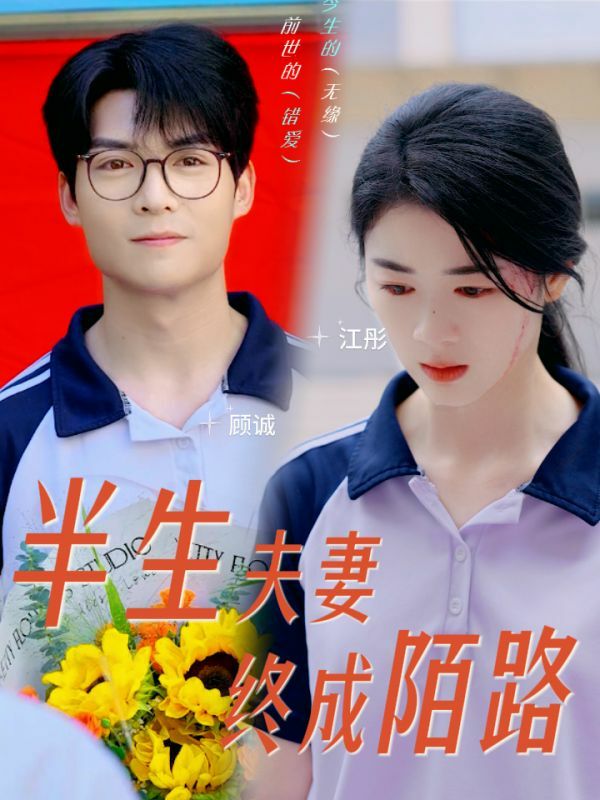 半生夫妻终成陌路封面