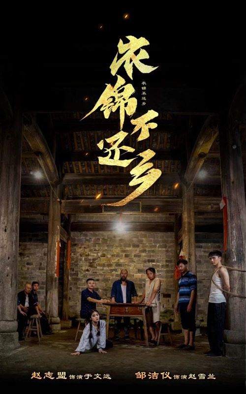 衣锦不还乡封面