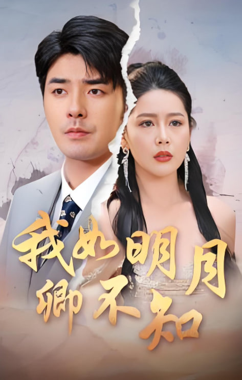 我如明月卿不知封面