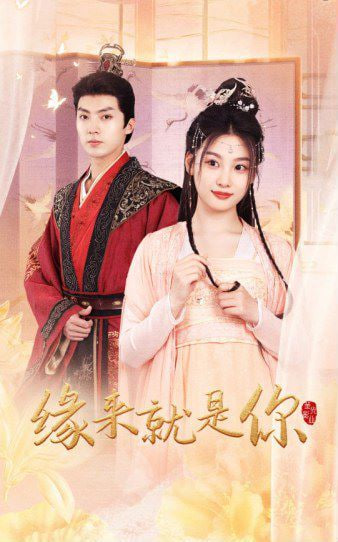 新版：缘来就是你封面