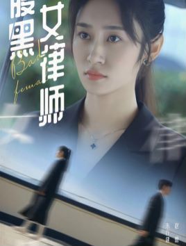 腹黑女律师封面