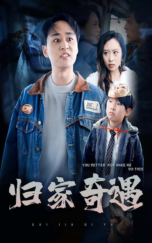 归家奇遇封面