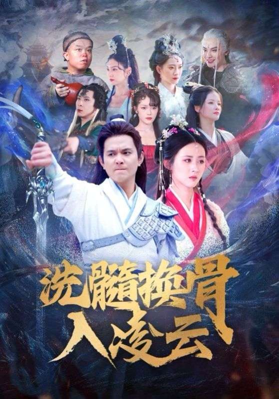 洗髓换骨入凌云封面