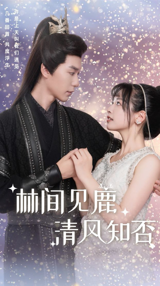 林间见鹿清风知否封面