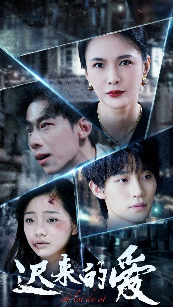 迟来的爱封面