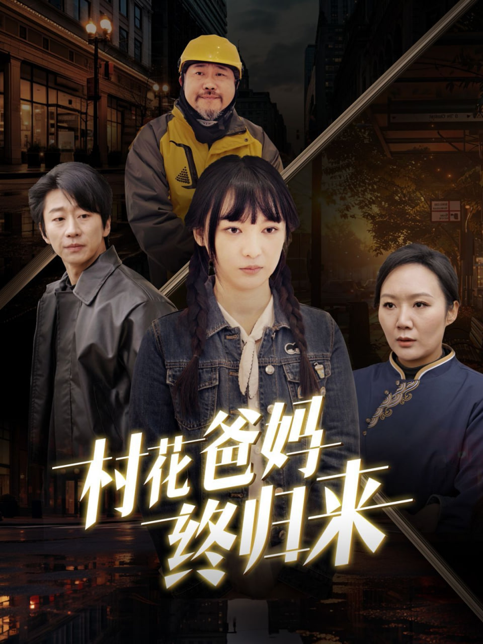 村花爸妈终归来封面