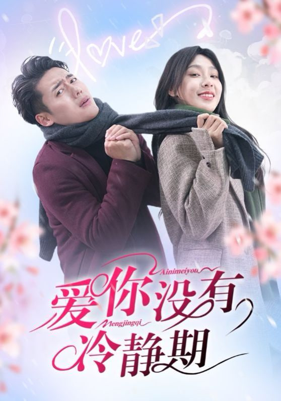 爱你没有冷静期封面