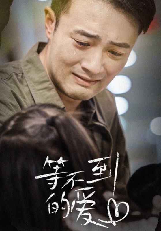 等不到的爱封面