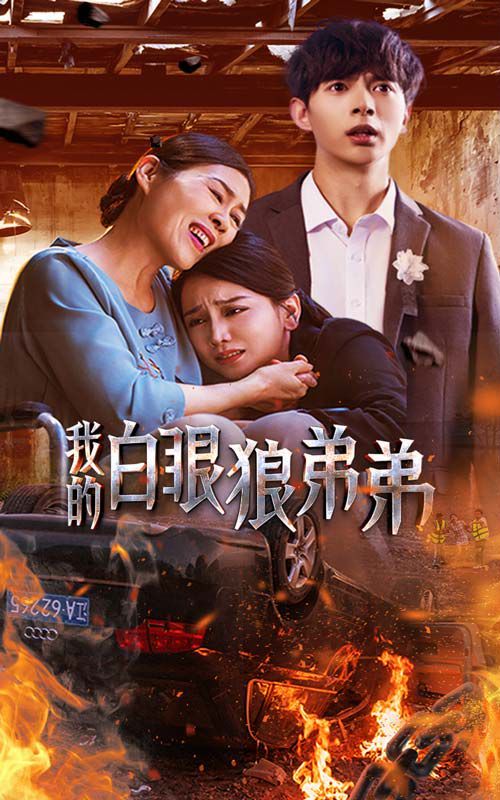 我的白眼狼弟弟封面