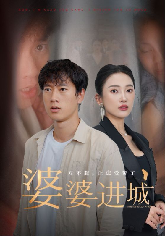 婆婆进城封面
