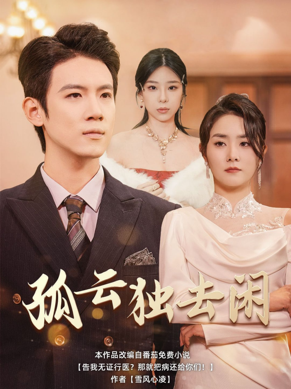 孤云独去闲封面