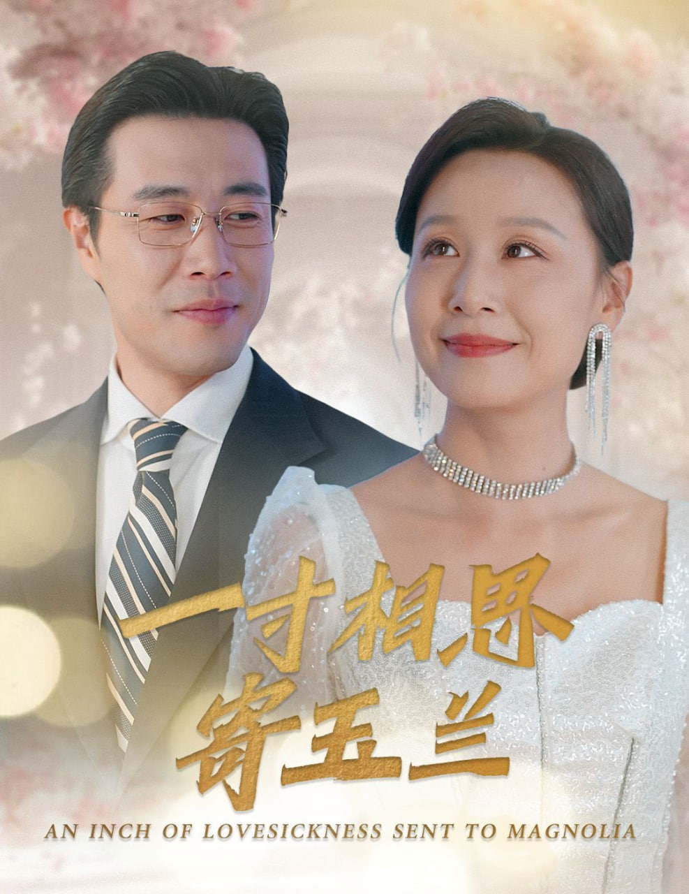 一寸相思寄玉兰封面