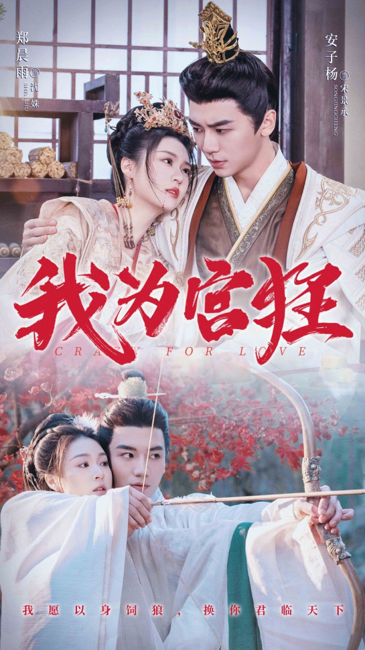 我为宫狂封面