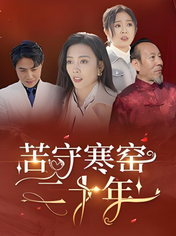 苦守寒窑二十年封面