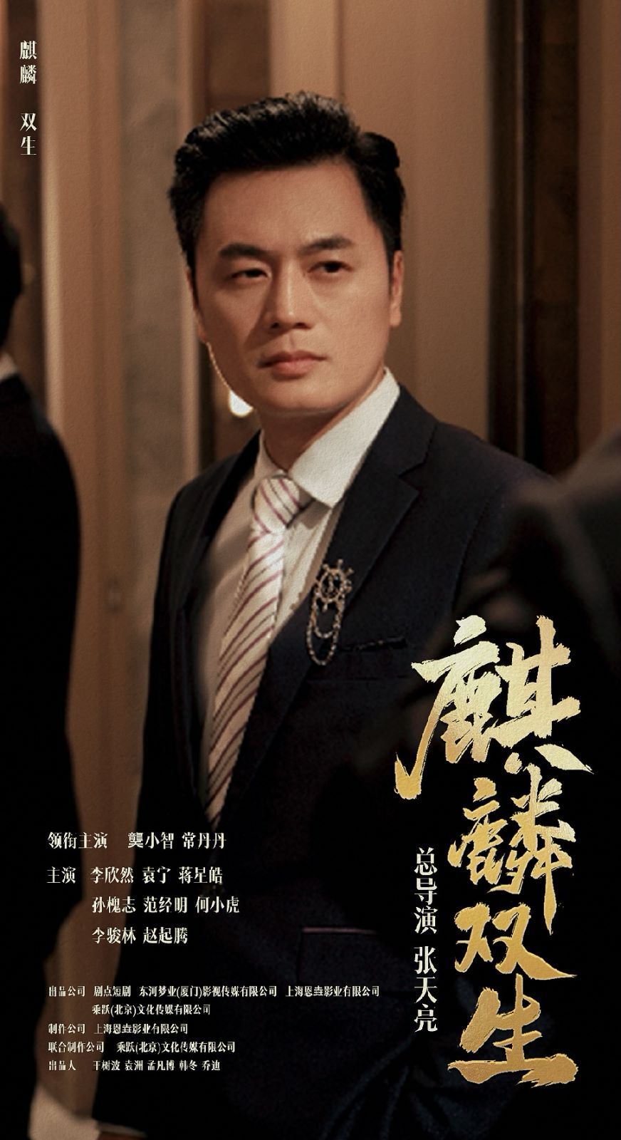 麒麟双生封面