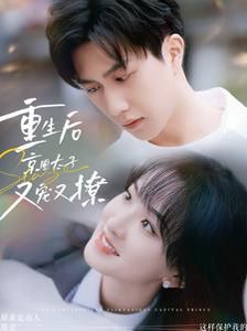 重生后京圈太子又宠又撩封面