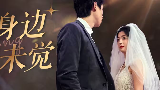 爱在身边却未觉封面