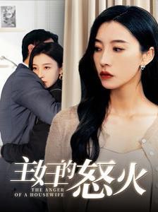 主妇的怒火封面