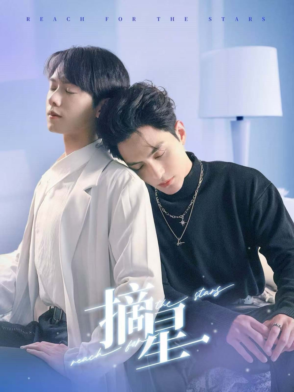 摘星封面
