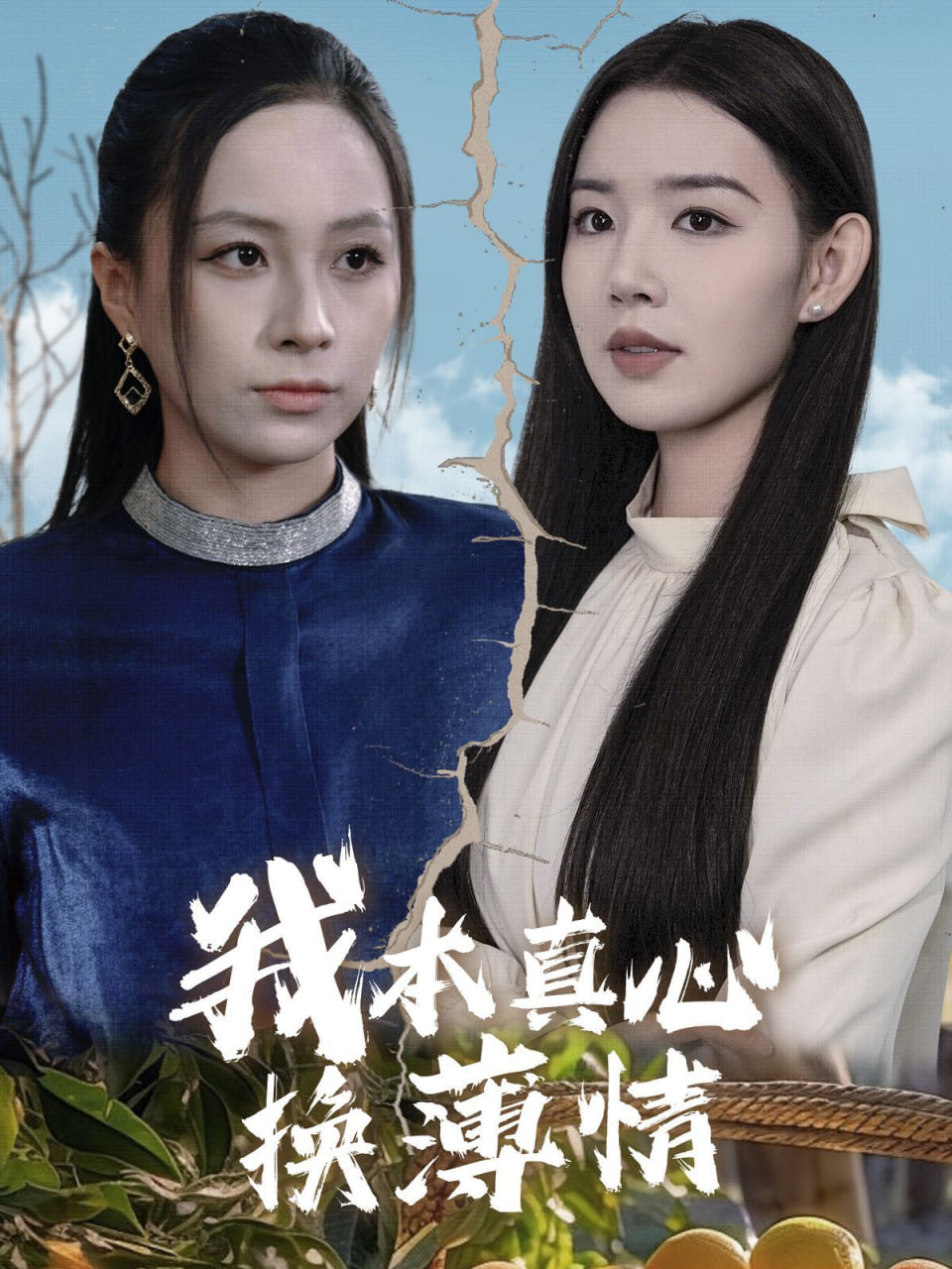 我本真心换薄情封面