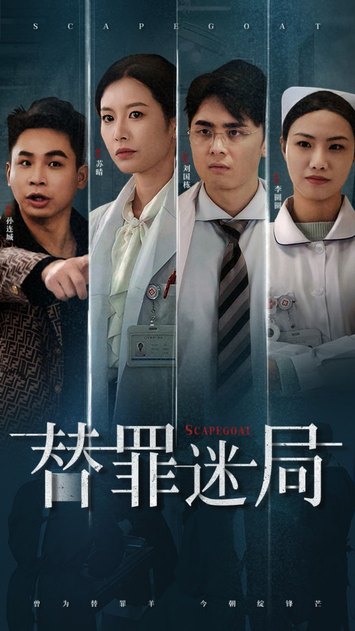 替罪迷局封面