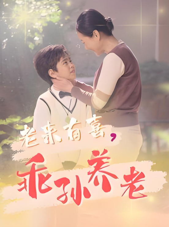 老来有喜乖孙养老封面
