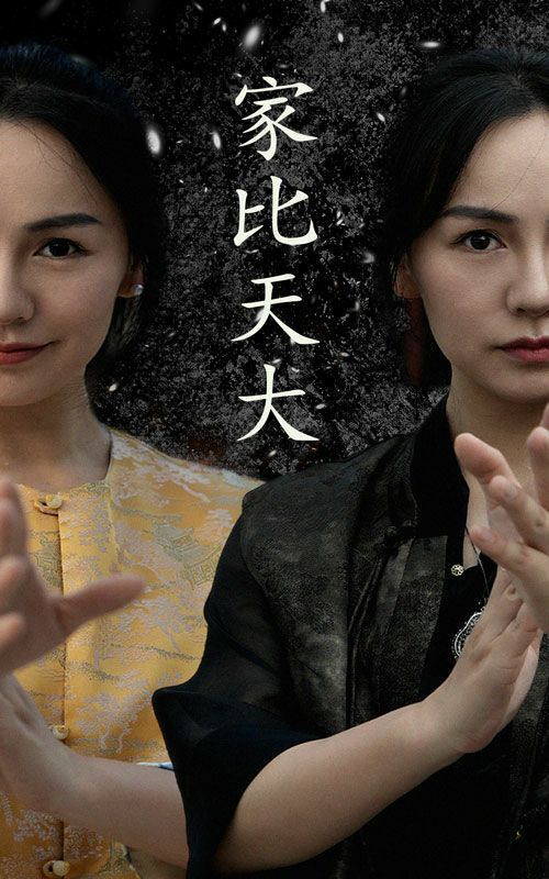 家比天大封面