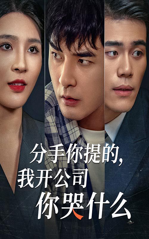 分手你提的，我开公司你哭什么封面
