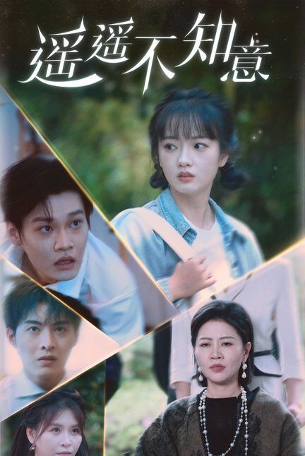 遥遥不知意封面