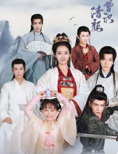 何曾识清颜封面